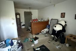 290 Highway 57 S.  photo 4