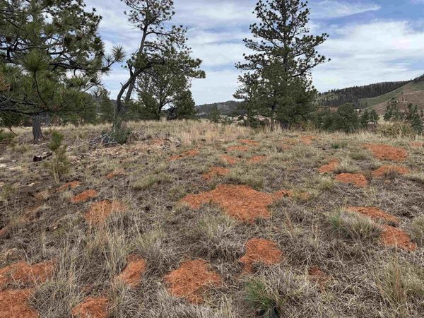 12707 Stardust Pass, Hot Springs, SD 57747