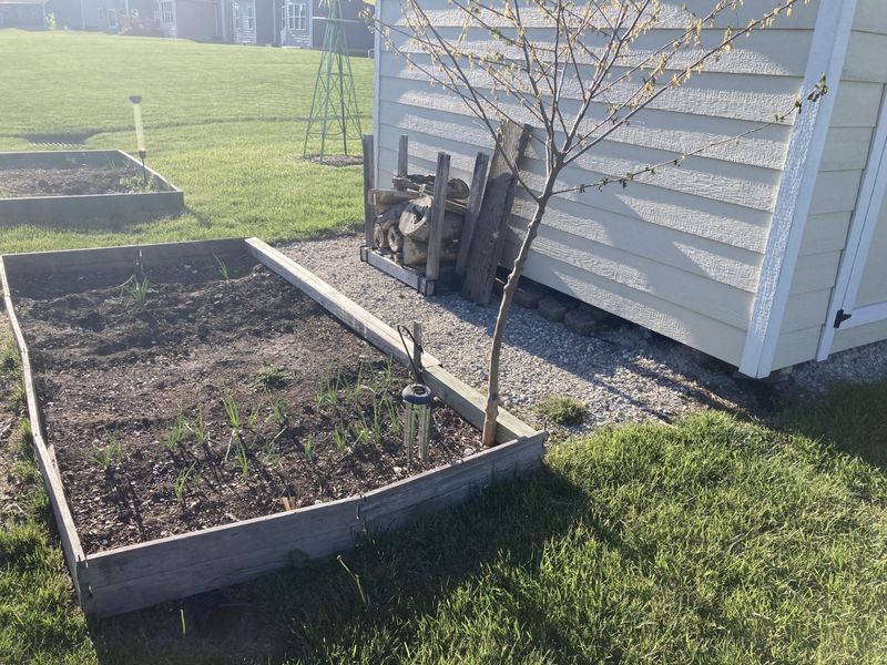 1144 Red Maple Drive, Troy, OH 45373 Photo 8