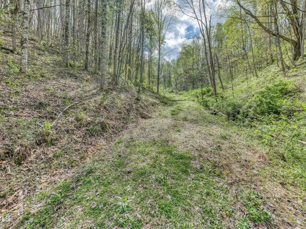 Tbd T Greer Road, Mountain City, TN 37683