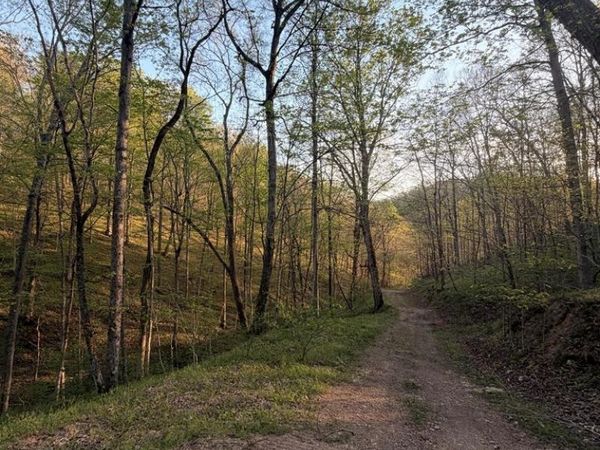 950 Scenic Drive, Vinton, OH 45686