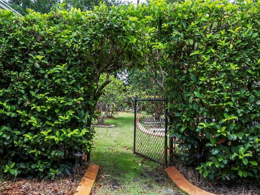 Property Image 52