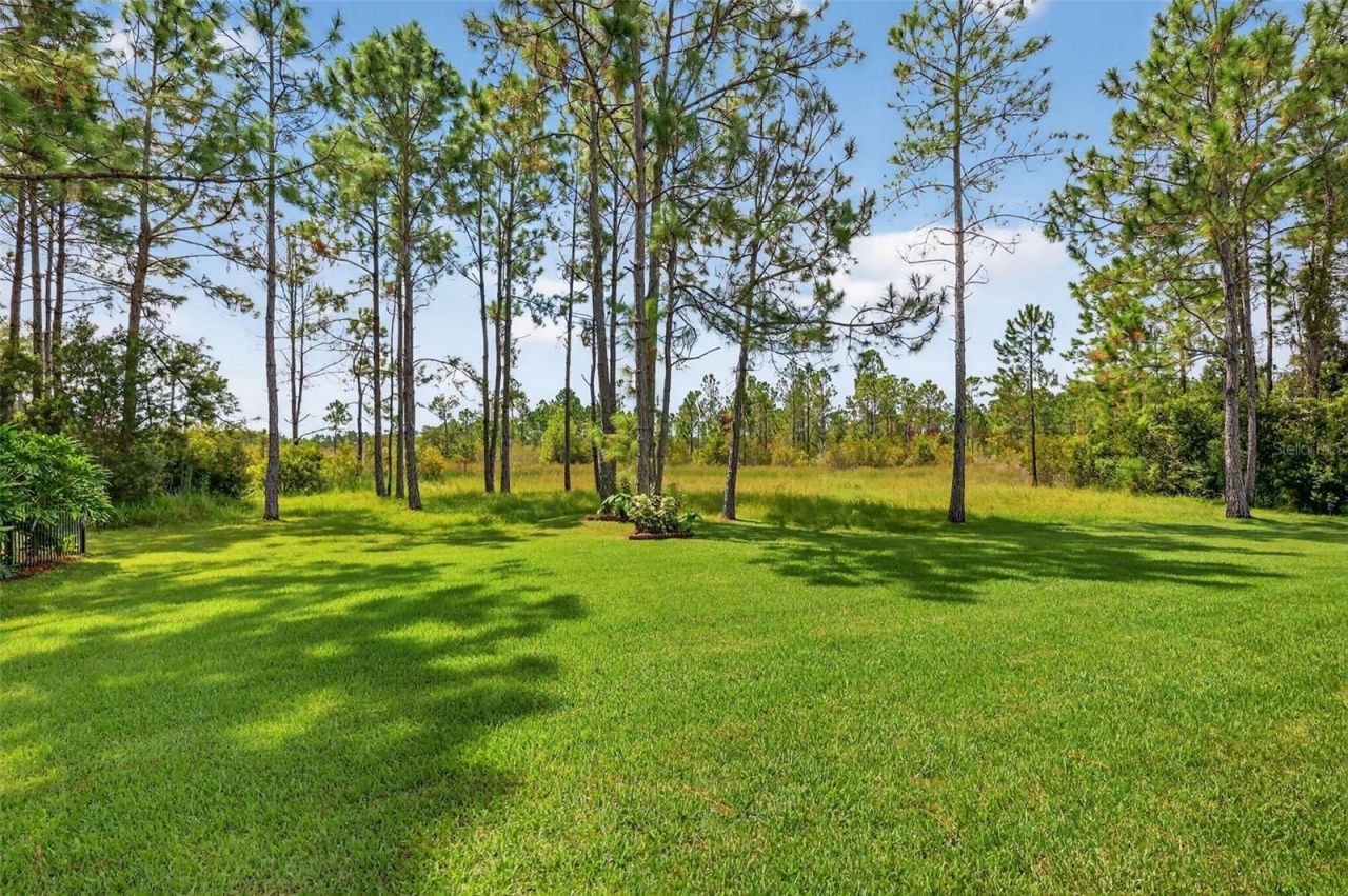 404 Long And Winding Road, Howey in the Hills, FL 34737 Photo
