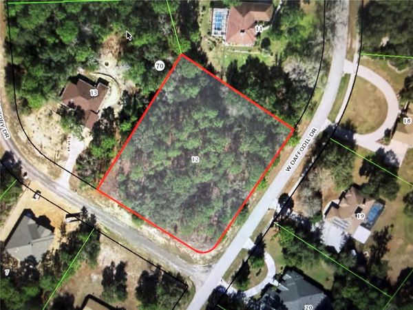 3311 W DAFFODIL DRIVE , BEVERLY HILLS, FL 34465