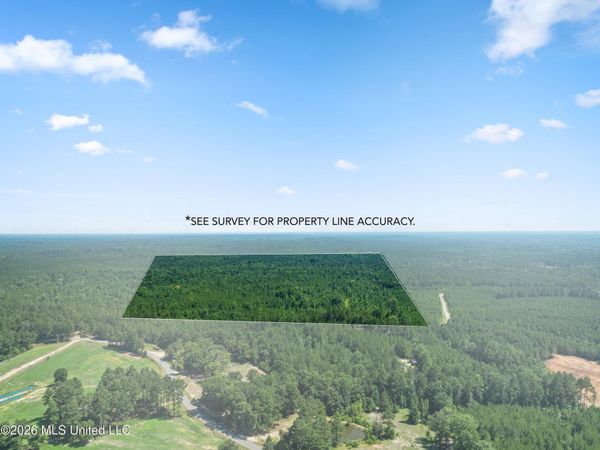 J P Hinton Road, Richton, MS 39476