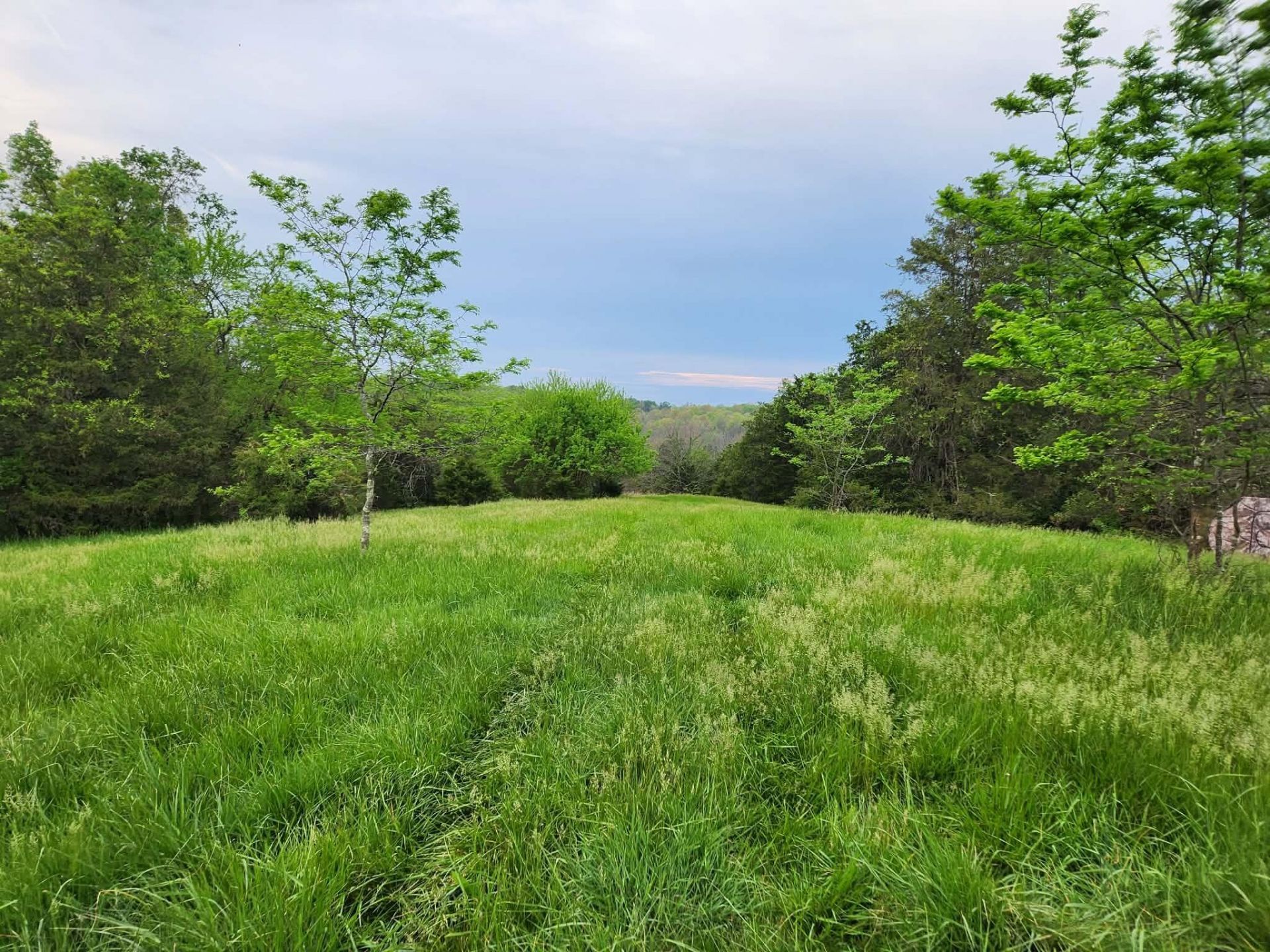 200 Bobtown Road, Cynthiana, KY 41031 Main Photo