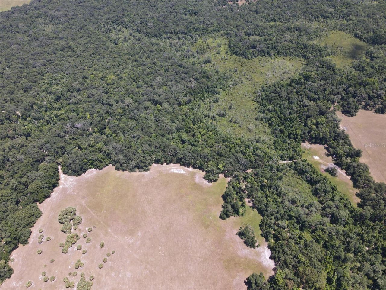 11804 SE County Road 234, Micanopy, FL 32667 Photo