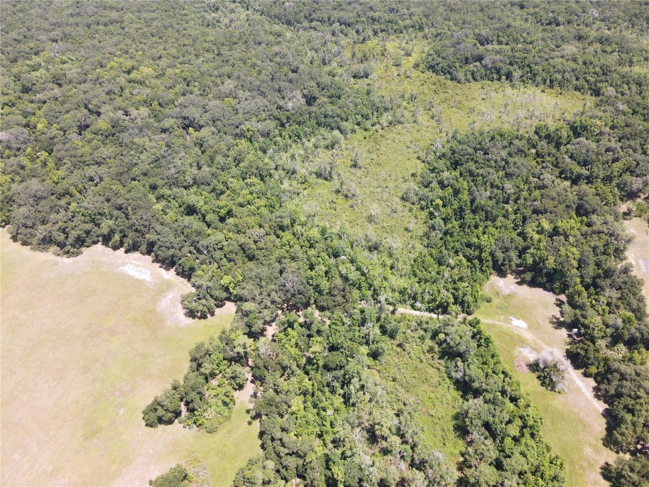 11804 SE County Road 234, Micanopy, FL 32667 Photo