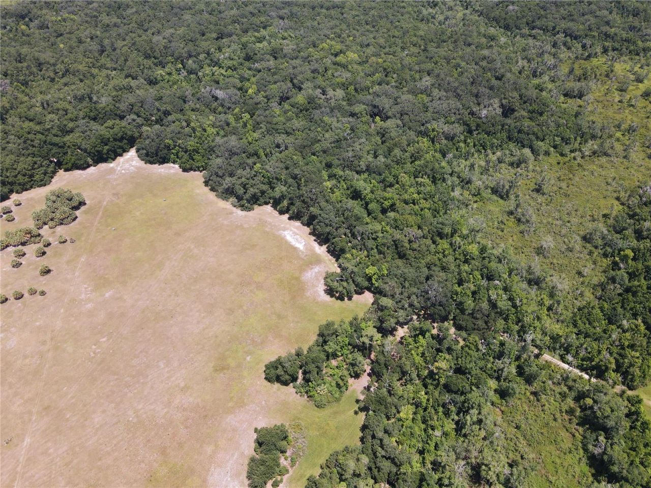 11804 SE County Road 234, Micanopy, FL 32667 Photo