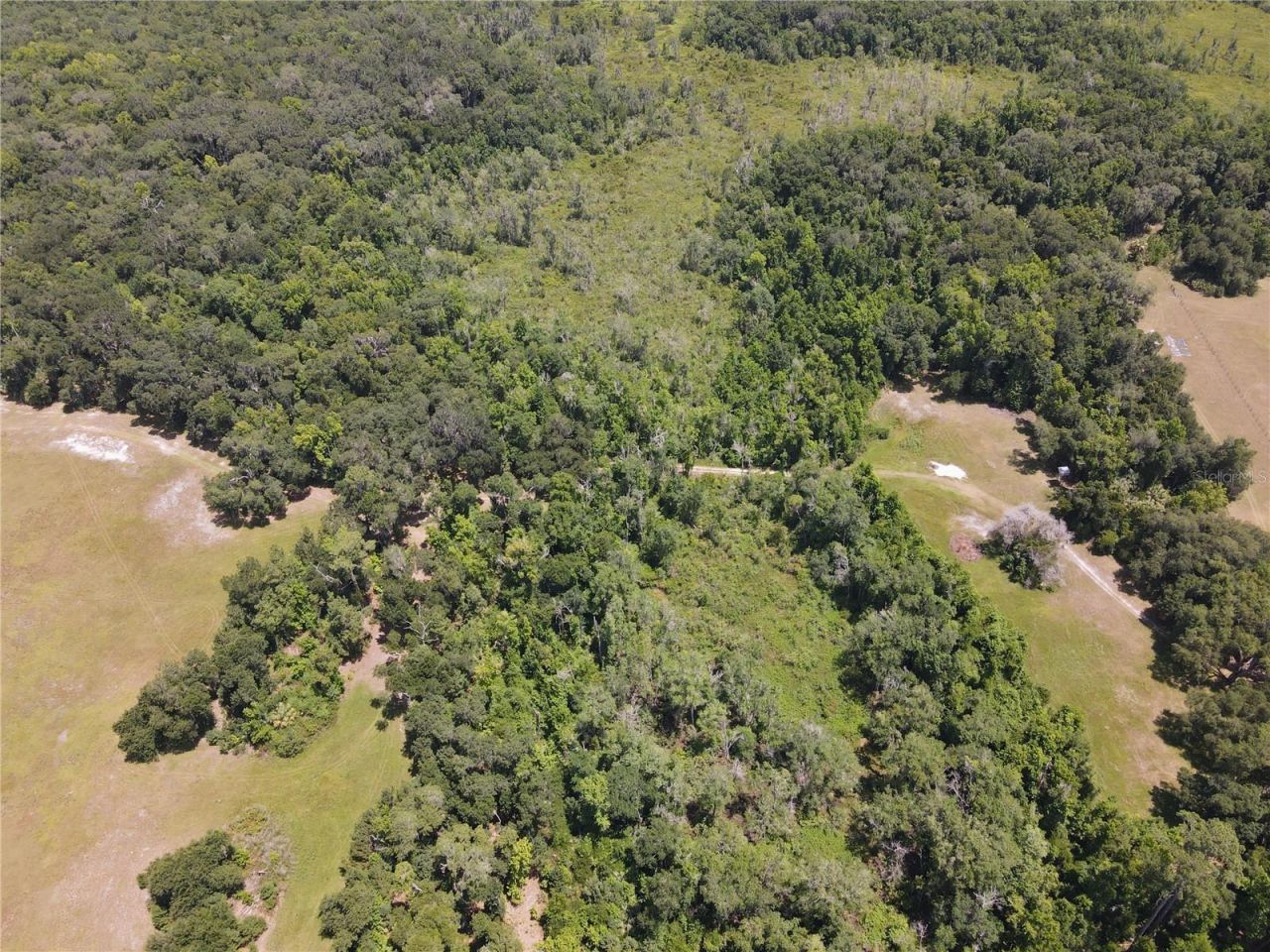 11804 SE County Road 234, Micanopy, FL 32667 Photo