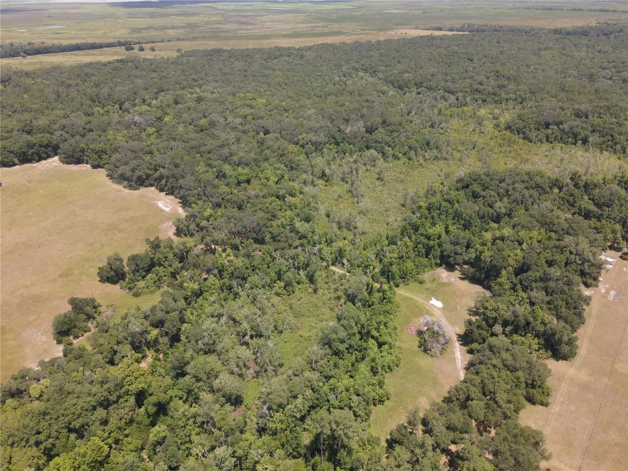11804 SE County Road 234, Micanopy, FL 32667 Photo