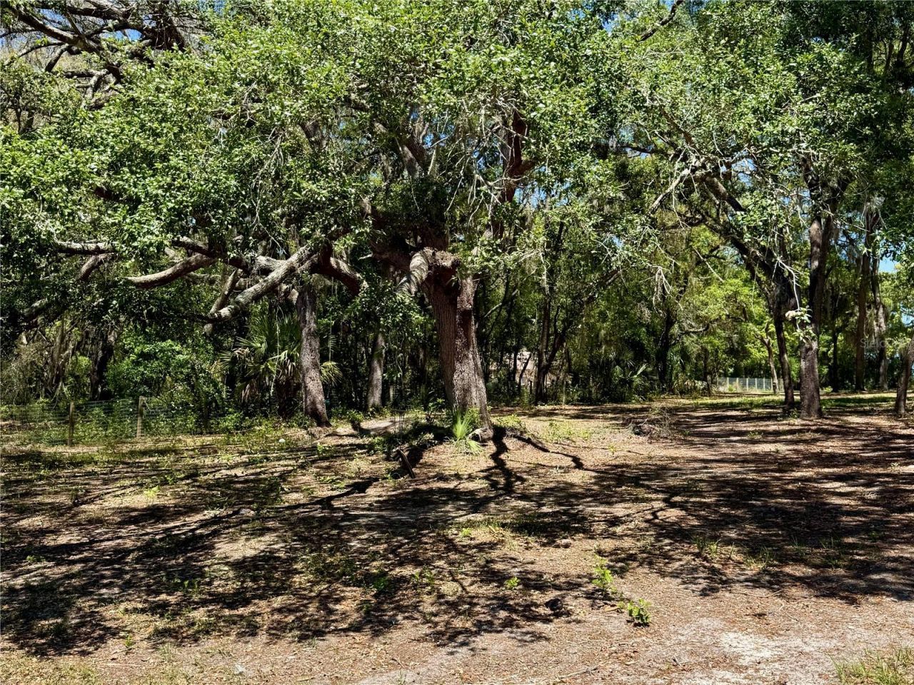 9711 SE Highway 464c , Ocklawaha, FL 32179 Photo