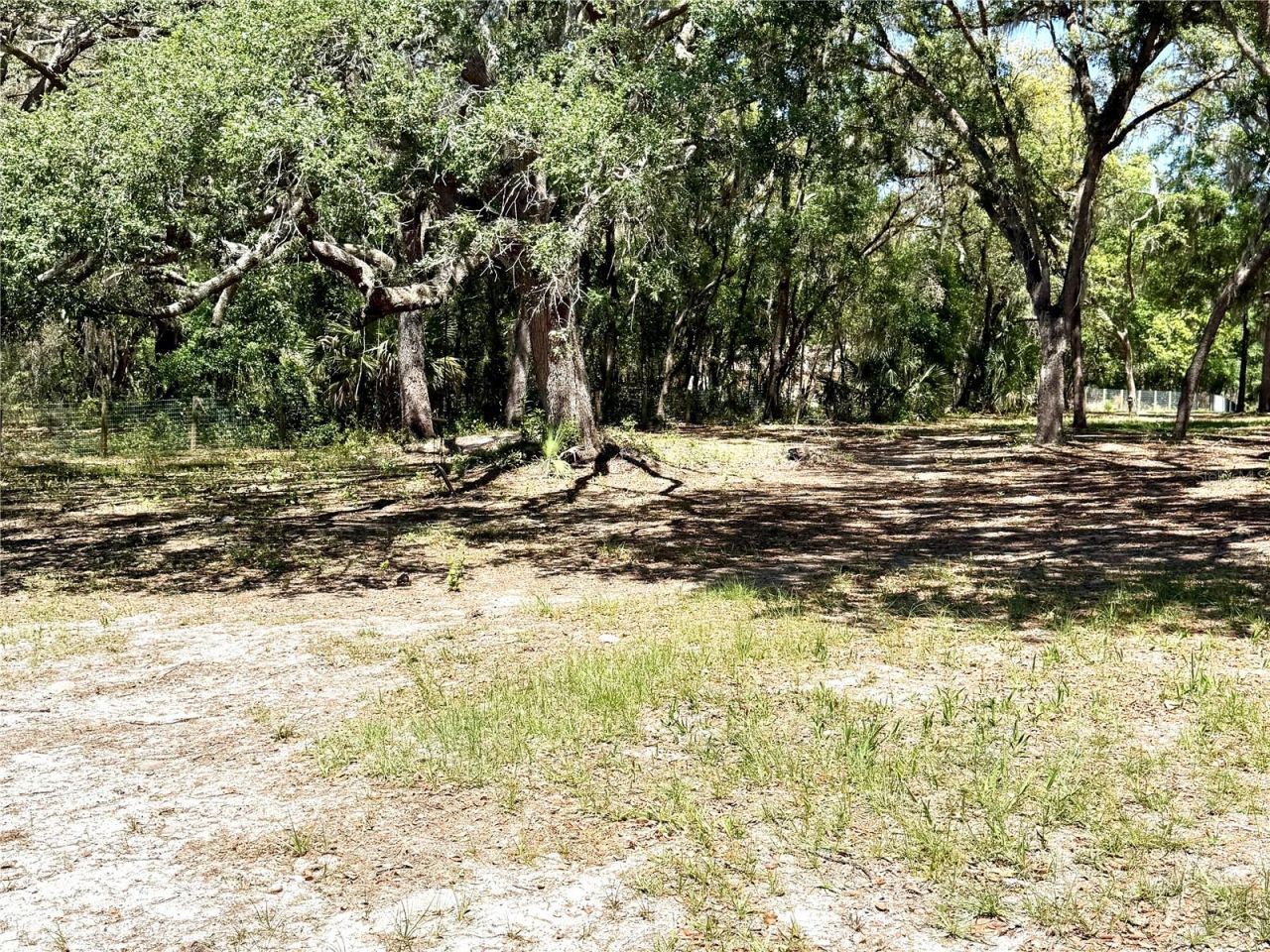 9711 SE Highway 464c , Ocklawaha, FL 32179 Photo
