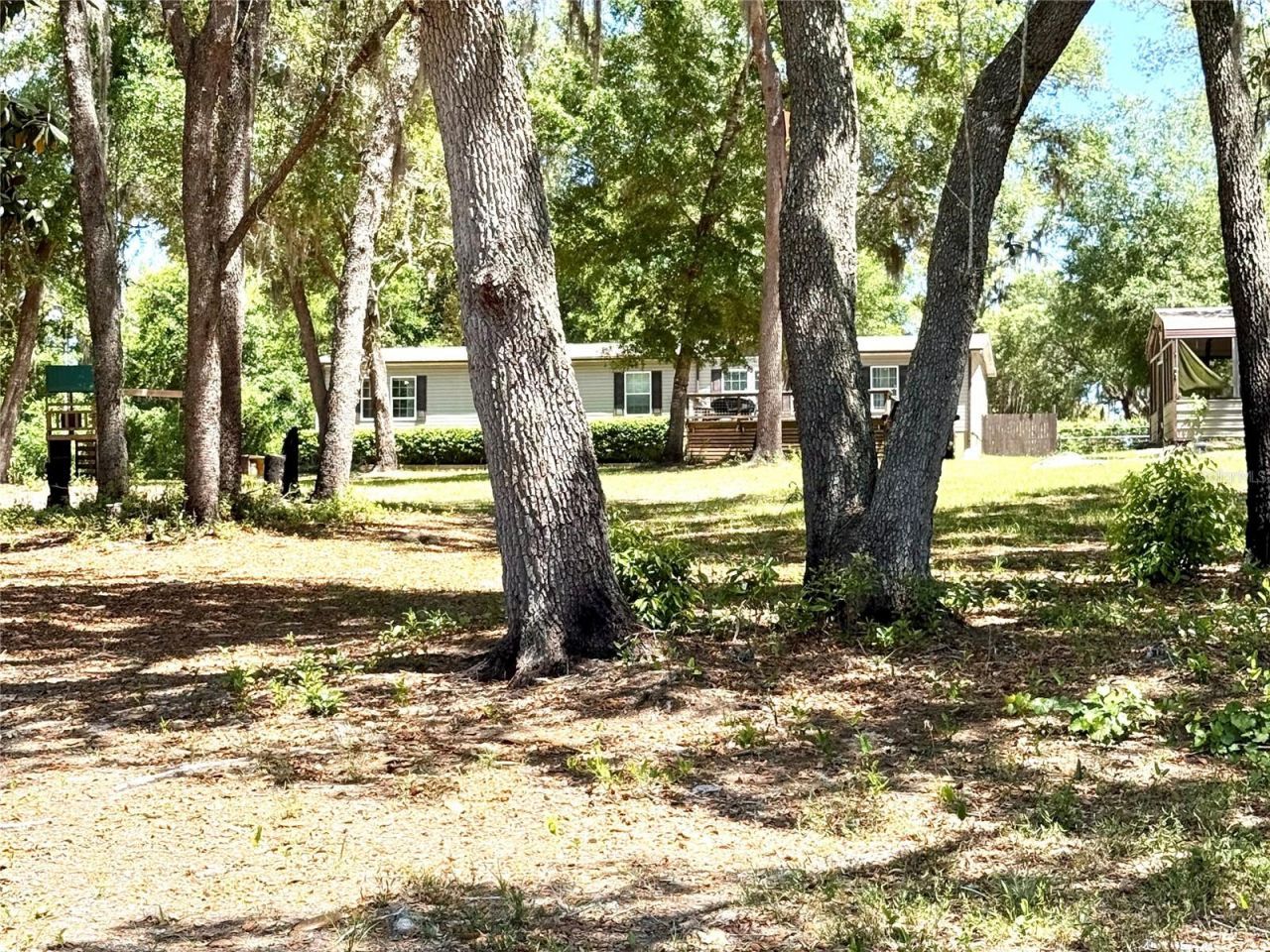 9711 SE Highway 464c , Ocklawaha, FL 32179 Photo