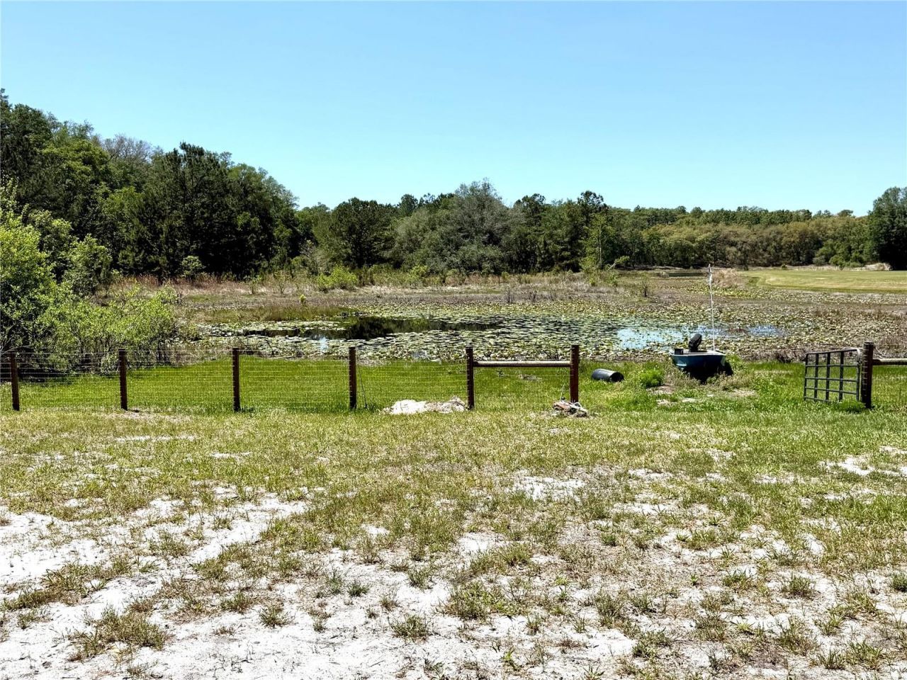 9711 SE Highway 464c , Ocklawaha, FL 32179 Photo
