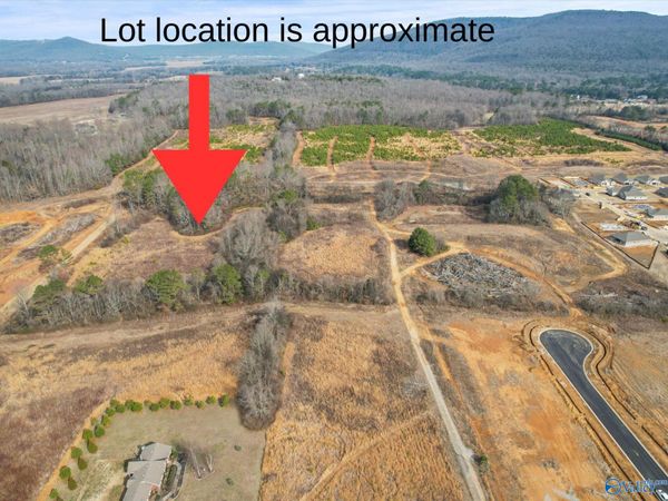 PIN 122096 Cherry Tree Road, Gurley, AL 35748