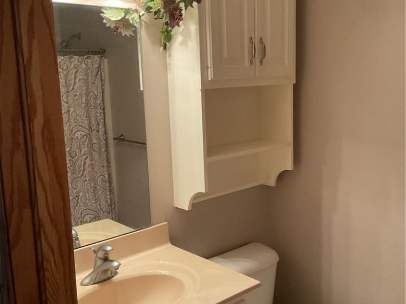 136 Forest View Court, Creston, OH 44217 Photo 10