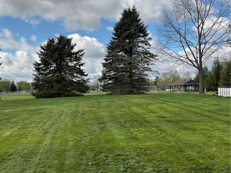 136 Forest View Court, Creston, OH 44217 Photo 15