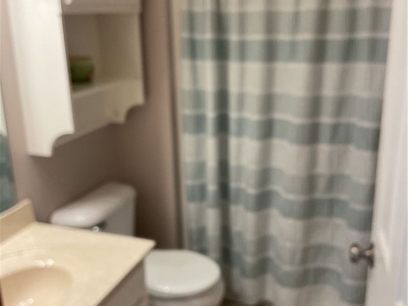 136 Forest View Court, Creston, OH 44217 Photo 9