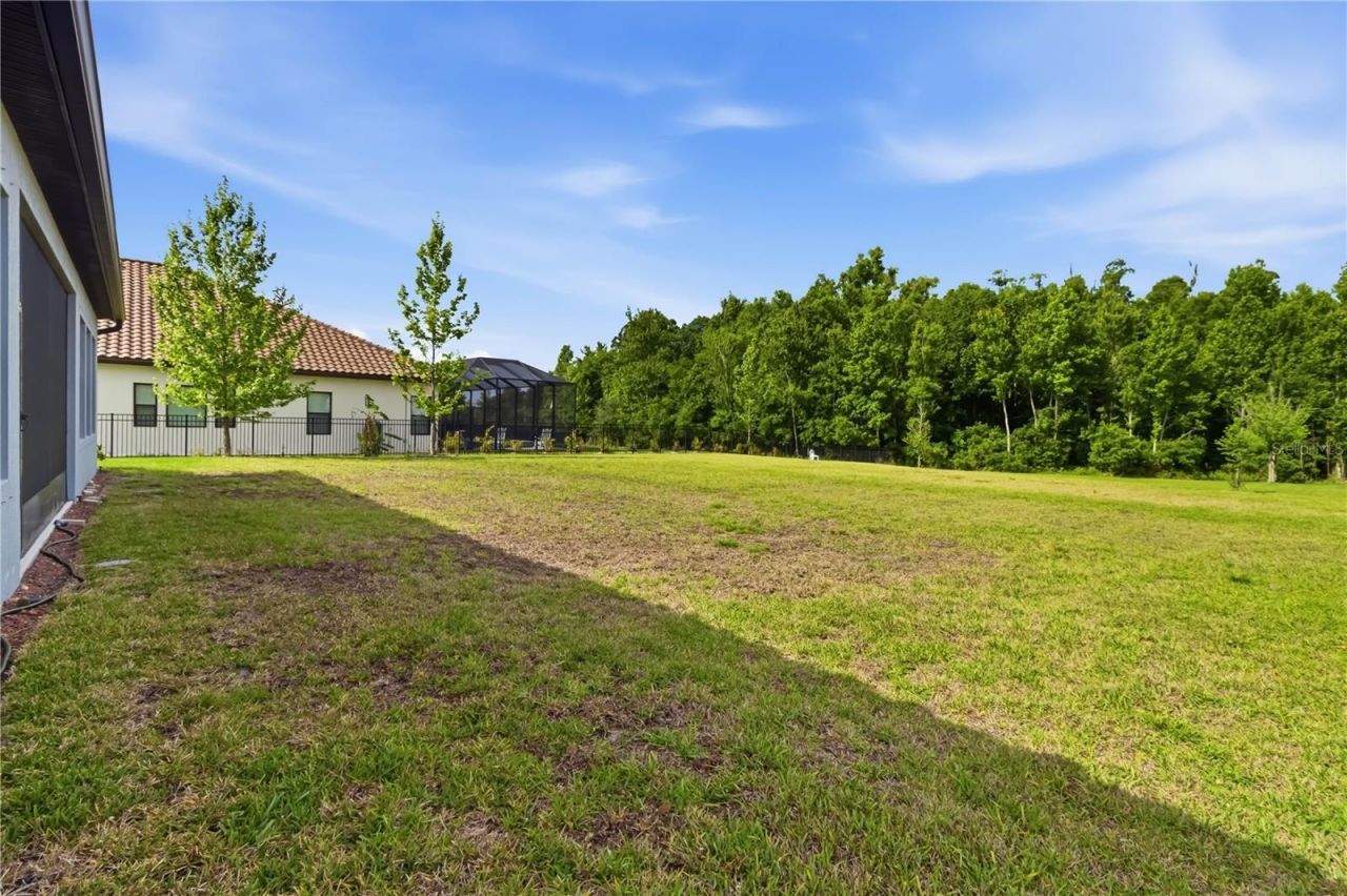 3018 Cordoba Ranch Boulevard, Lutz, FL 33559 Photo