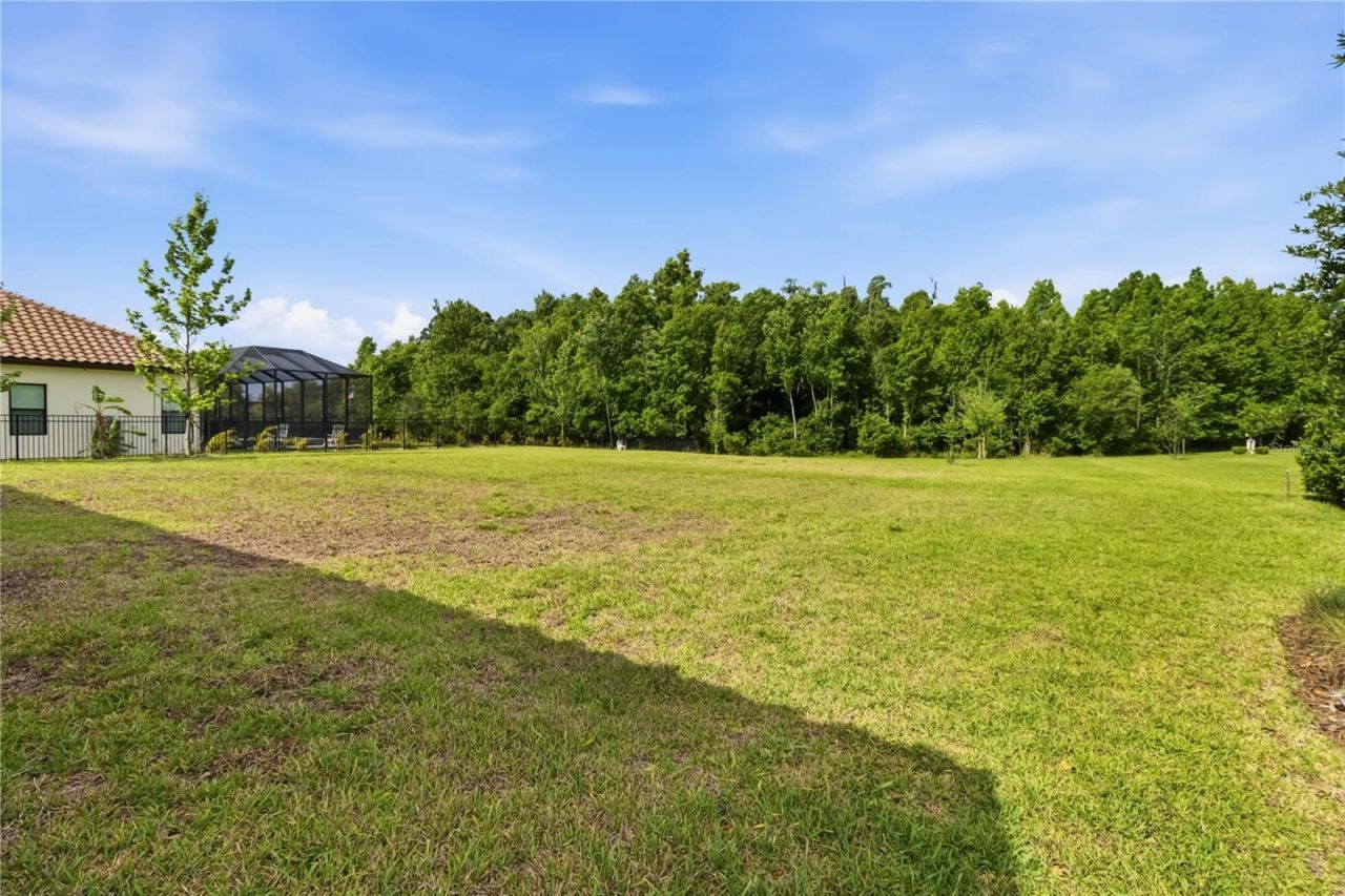 3018 Cordoba Ranch Boulevard, Lutz, FL 33559 Photo