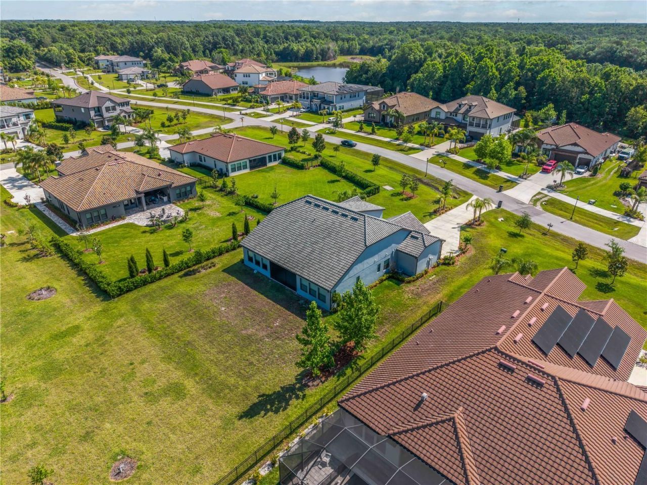 3018 Cordoba Ranch Boulevard, Lutz, FL 33559 Photo