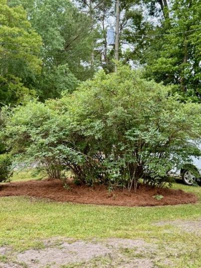 2986 Edbillellis Road Photo 32