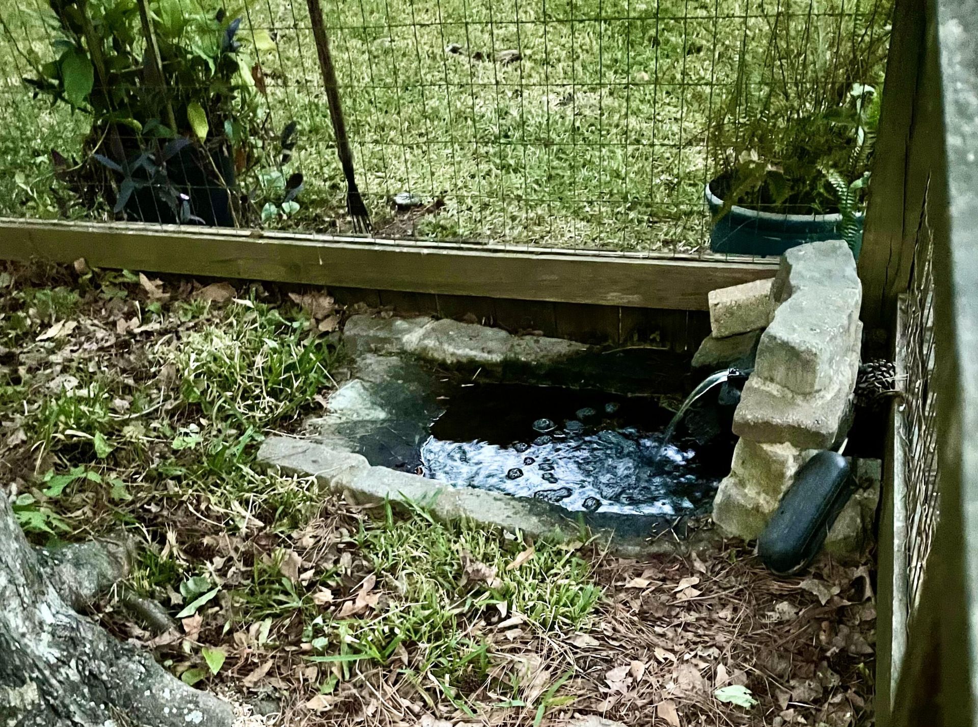 2986 Edbillellis Road Photo 8