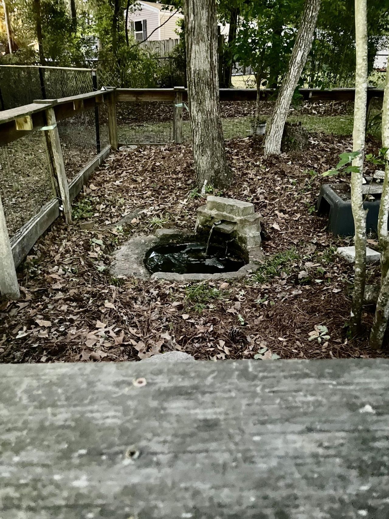 2986 Edbillellis Road Photo 9