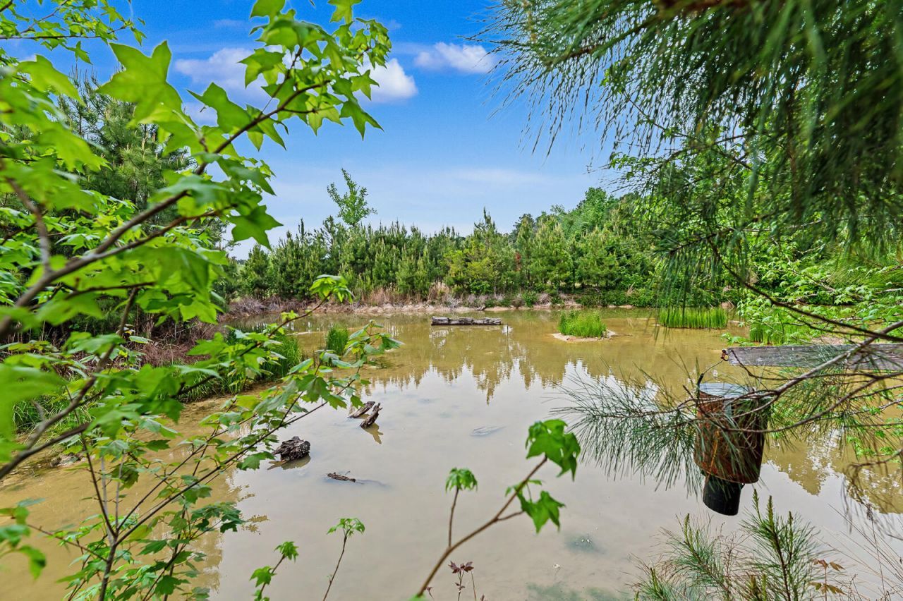 68 Easler Highway Photo 41