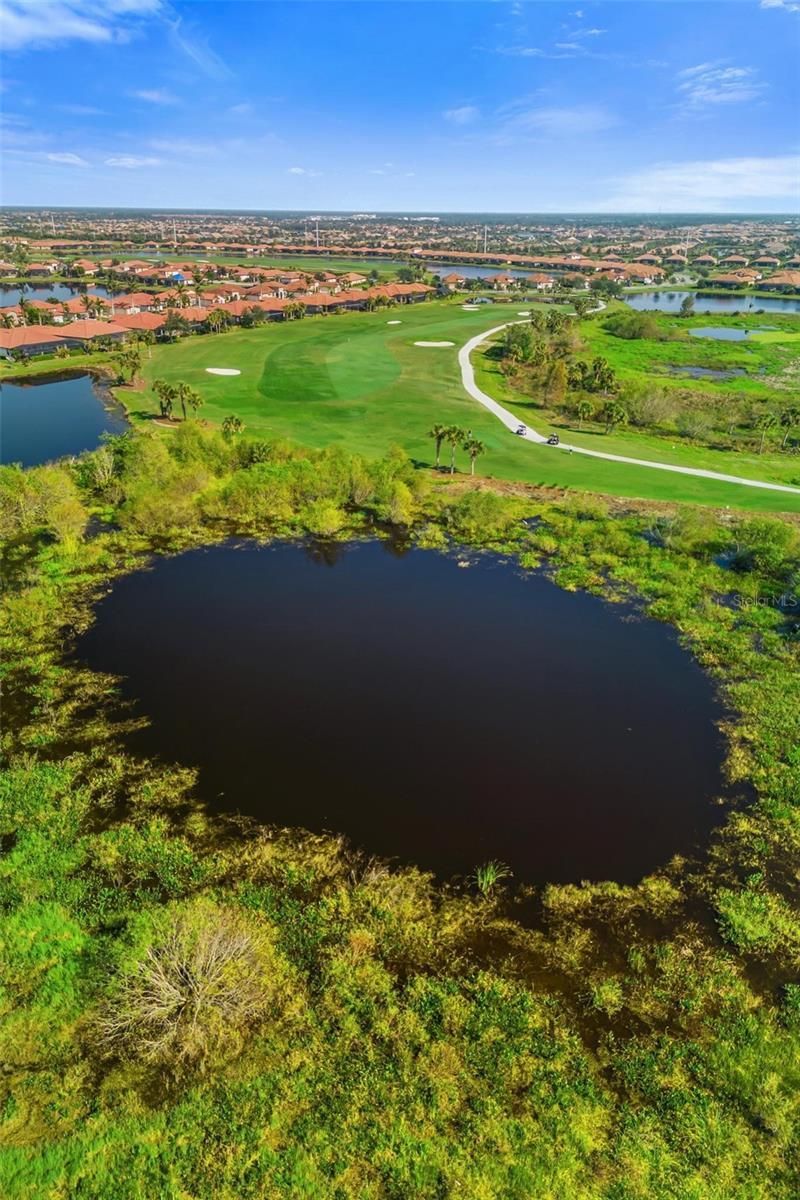 10157 Colubrina Drive, Venice, FL 34293 Photo