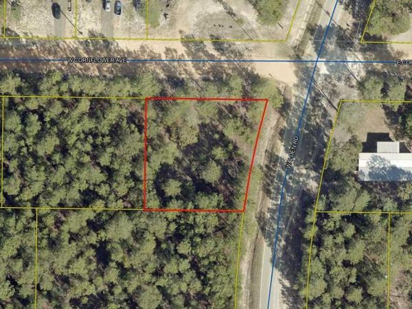 Lot 8 W Cornflower Avenue, DeFuniak Springs, FL 32433