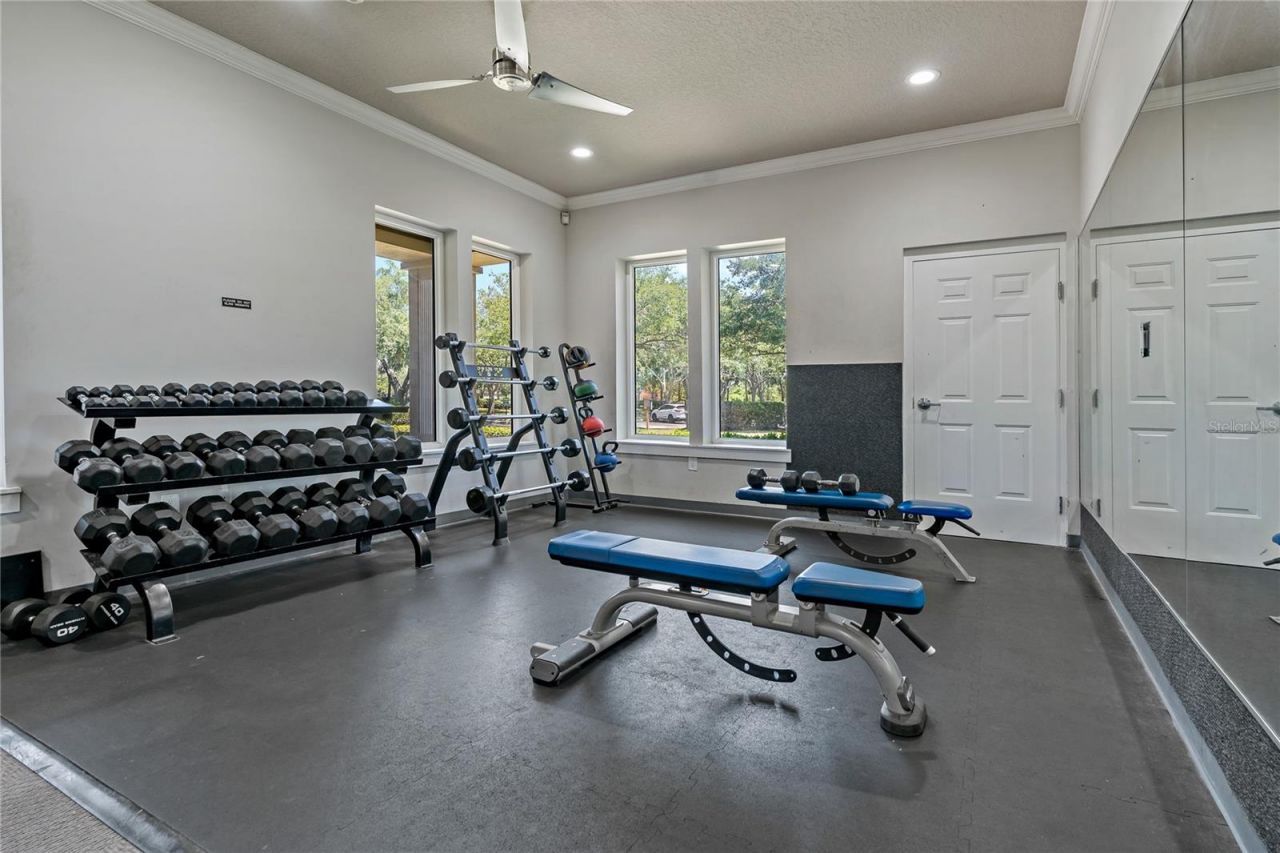 8118 Stone Path Way, Tampa, FL 33647 Photo