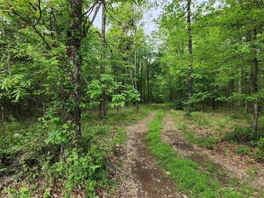 XXX KINSEY MOUNTAIN Road, Bonnerdale, AR 71933