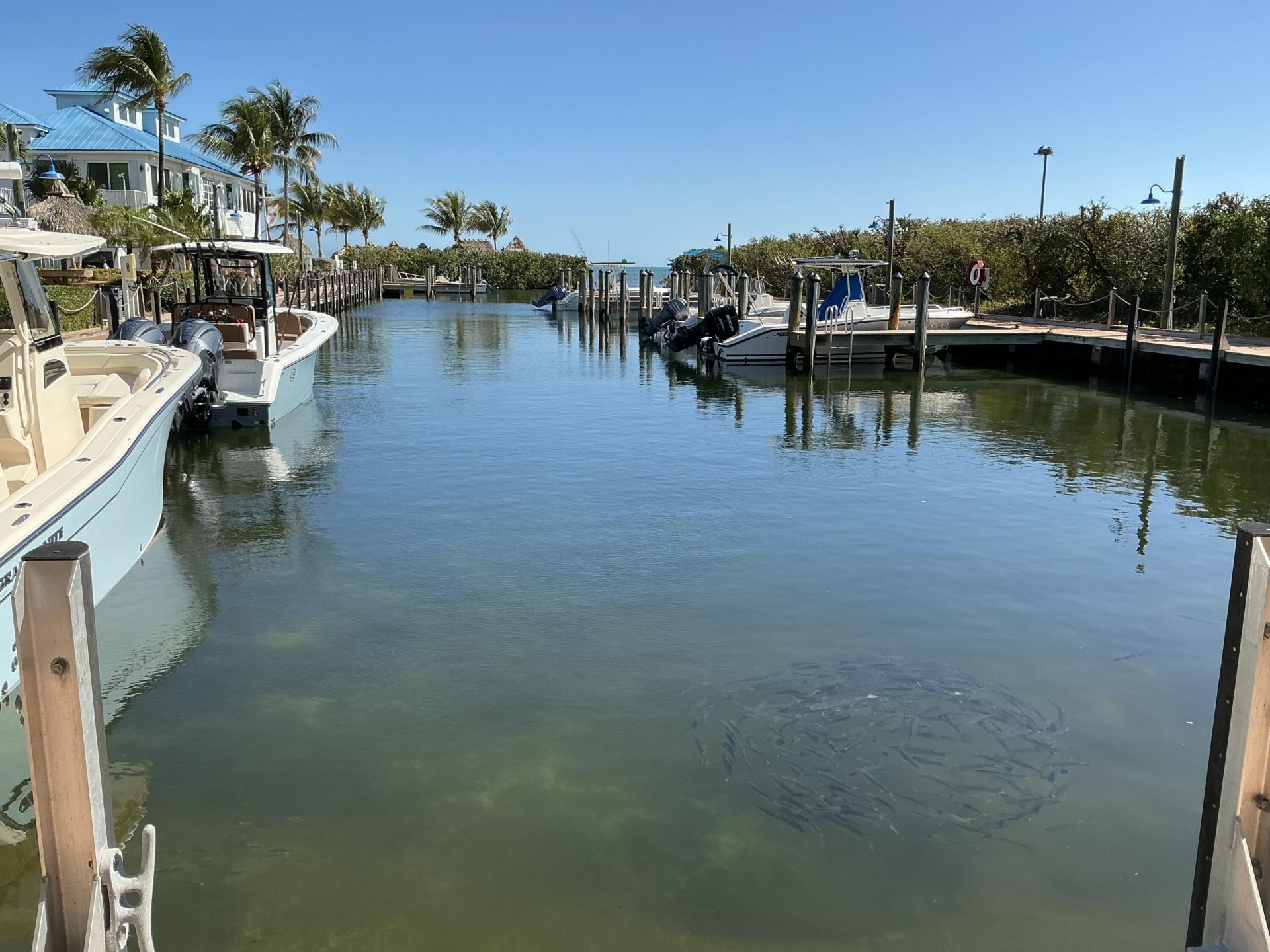 500 Burton Drive, Unit # 4211, Key Largo, FL 33070 Photo