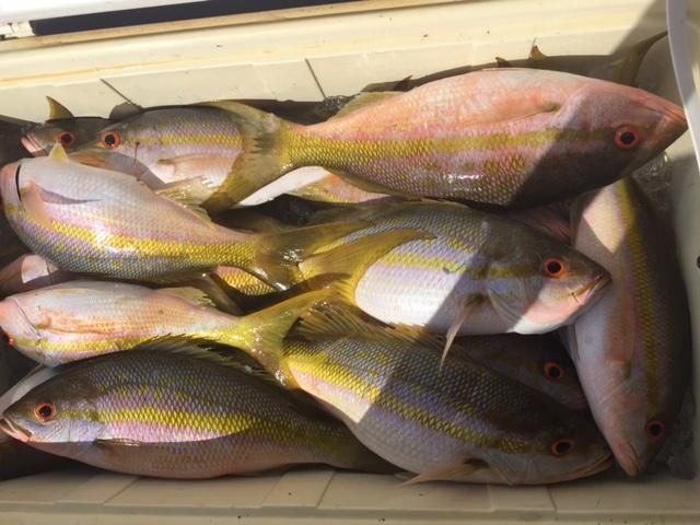 500 Burton Drive, Unit # 4211, Key Largo, FL 33070 Photo