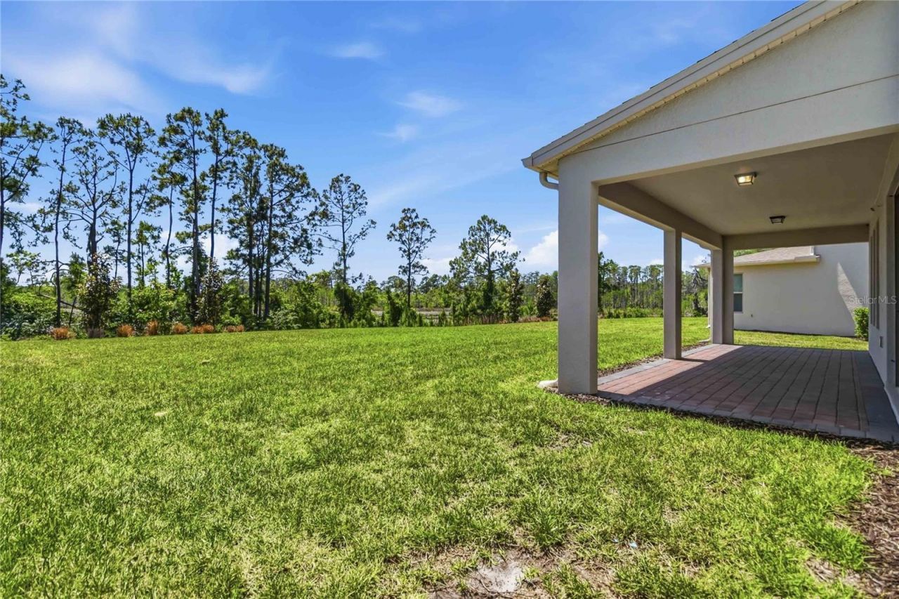 17876 Adrift Road, Winter Garden, FL 34787 Photo