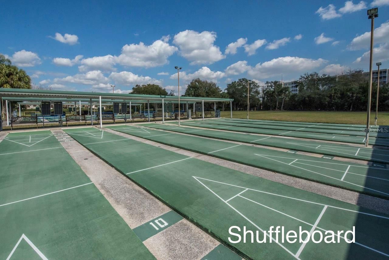 511 Finsbury Circle, Unit B, Sun City Center, FL 33573 Photo