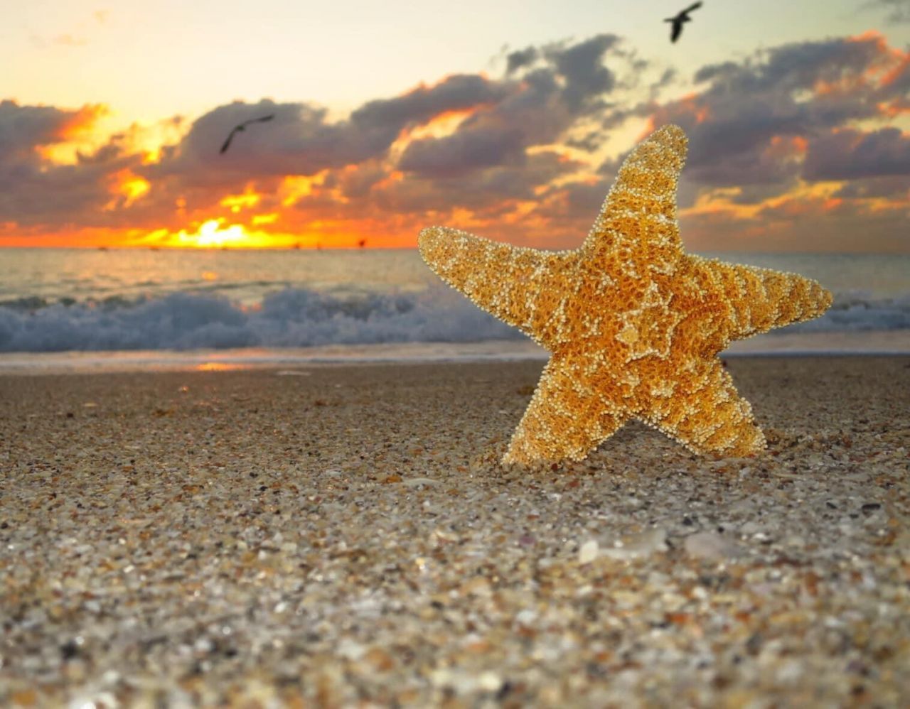 328 N Ocean Boulevard, Unit 902, Pompano Beach, FL 33062 Photo