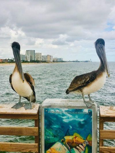 328 N Ocean Boulevard, Unit 902, Pompano Beach, FL 33062 Photo