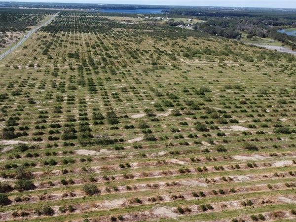 3162 POWER LINE ROAD , AVON PARK, FL 33825