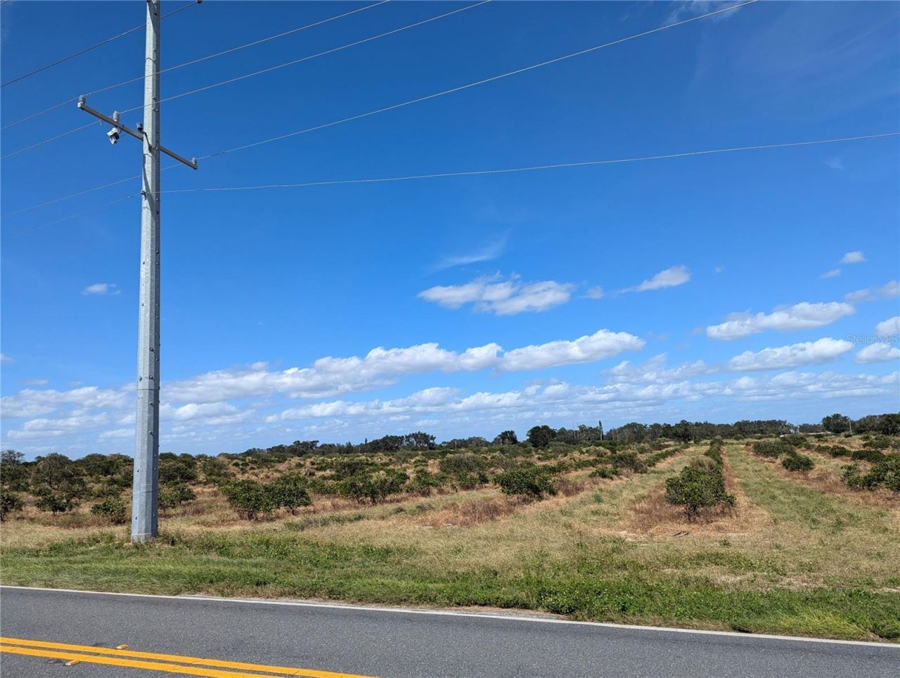 3162 Power Line Road , Avon Park, FL 33825 Photo