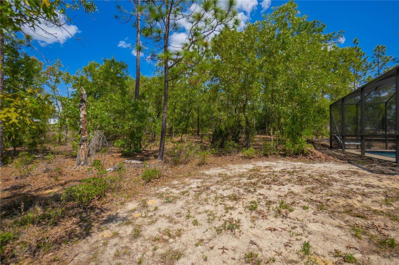9870 N Corsair Terrace, Citrus Springs, FL 34433 Photo