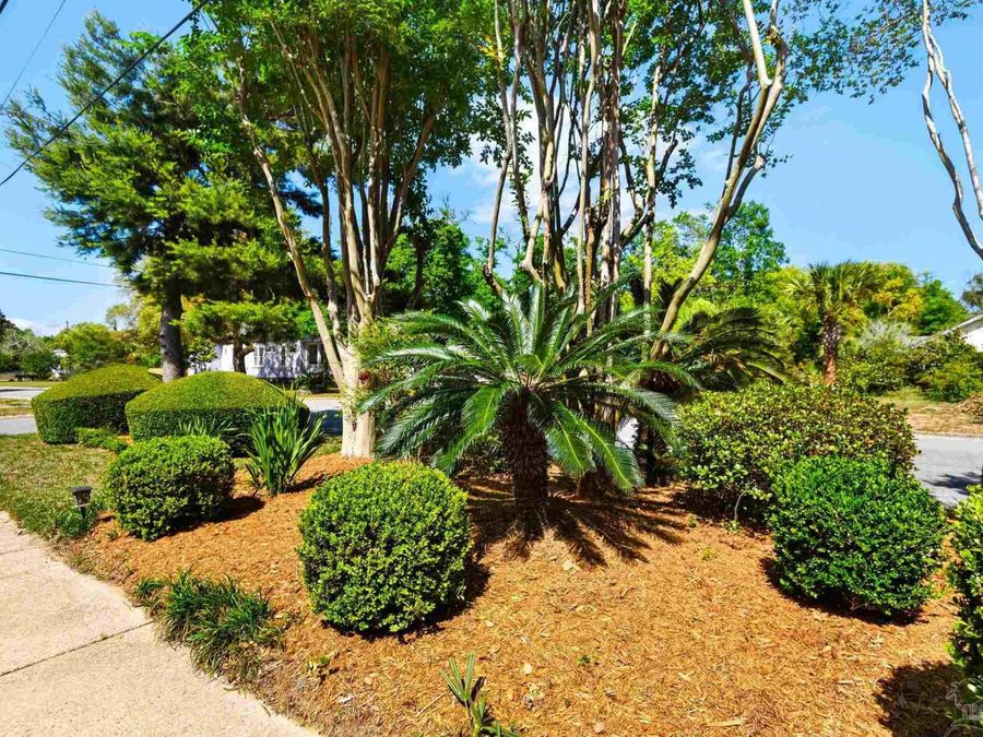 Property Image 59