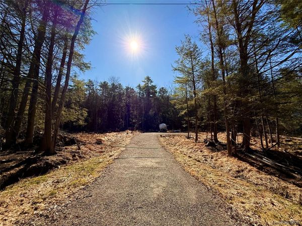 Park Lane , Yulan, NY 12792