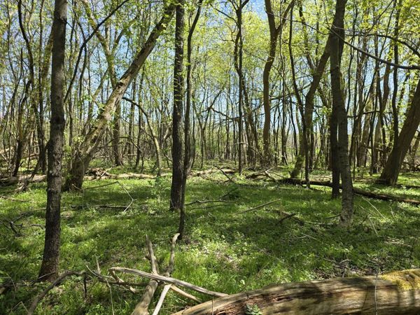 V/L Bellevue, Bellevue, MI 49021