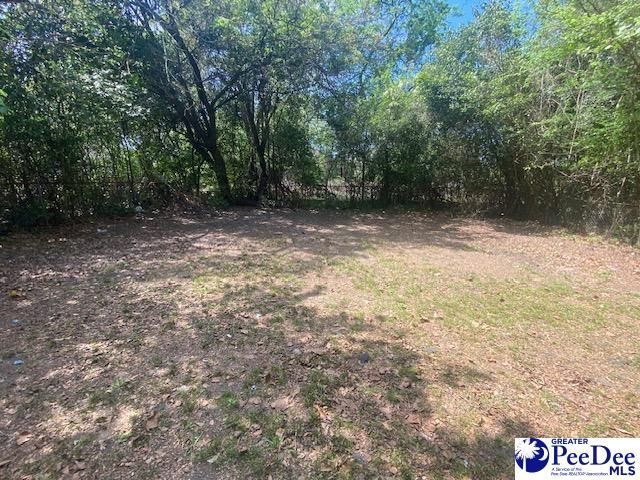 805 Commander Street Photo 14