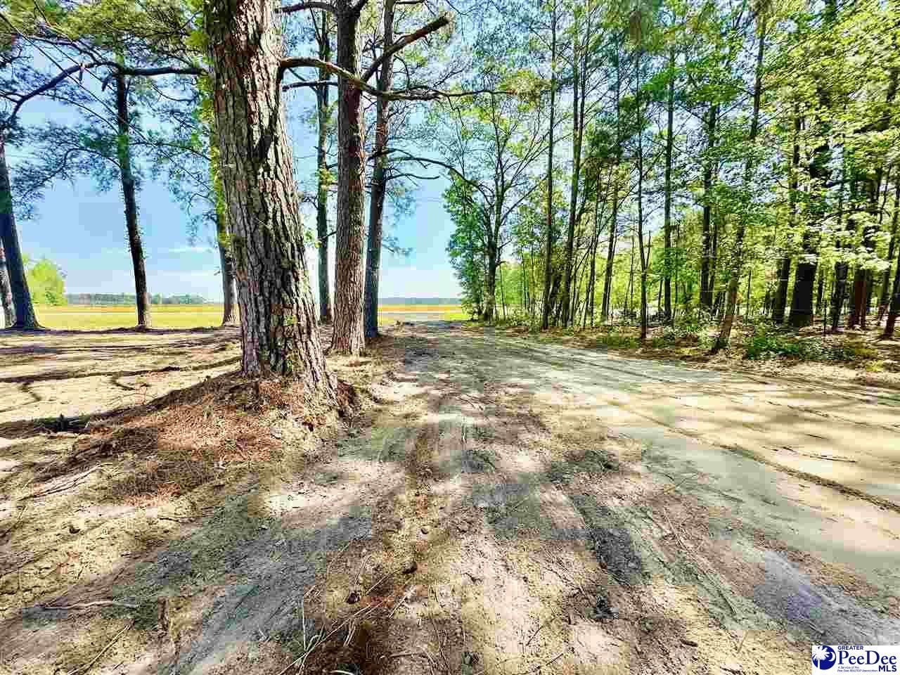 3681 Sumter Hwy Photo 24