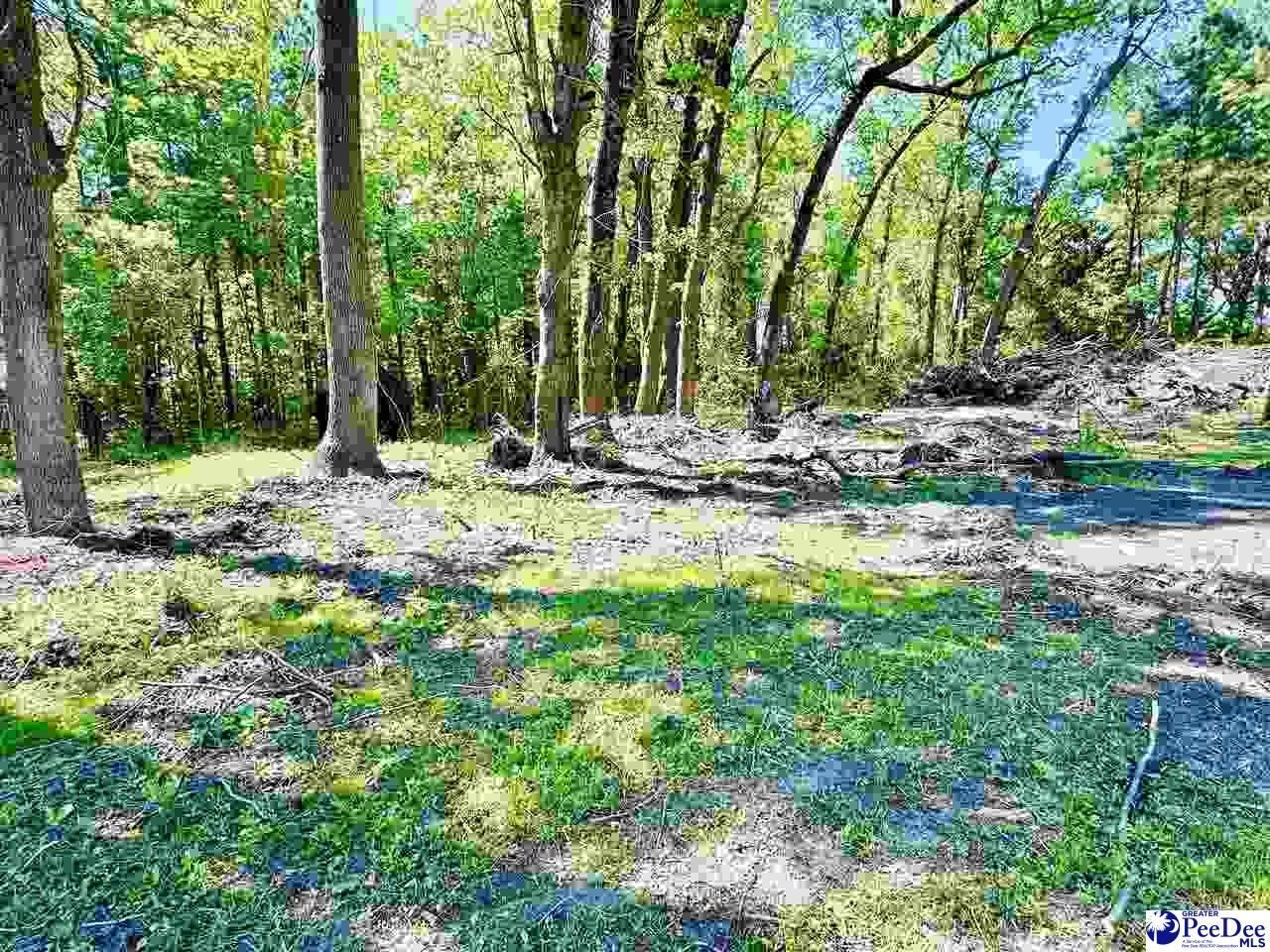 3681 Sumter Hwy Photo 25