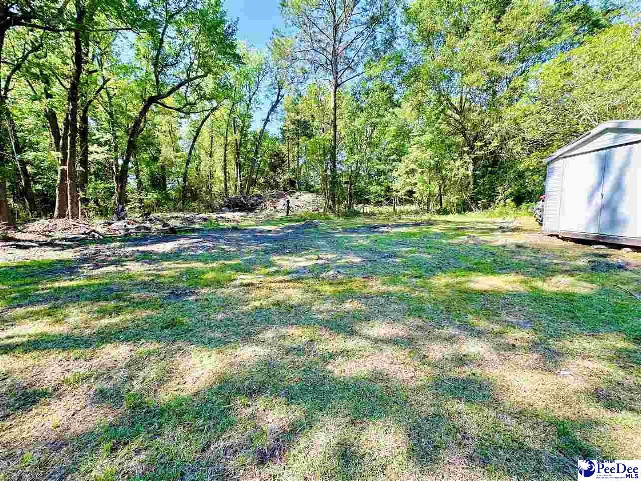 3681 Sumter Hwy Photo 26